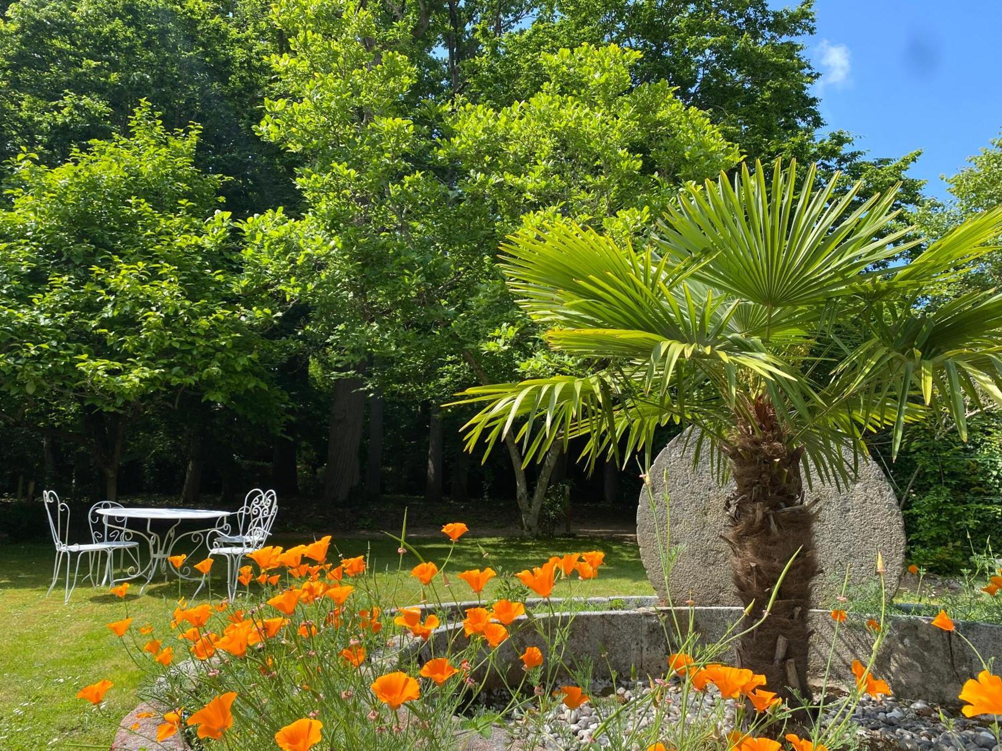 Hotel Manoir Du Parc (Adults Only) Amboise Exteriér fotografie