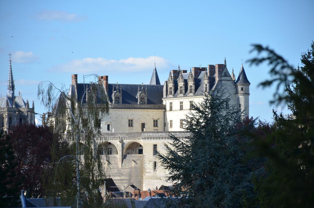Hotel Manoir Du Parc (Adults Only) Amboise Exteriér fotografie